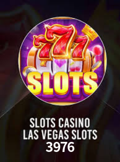 Interface Premium 3976